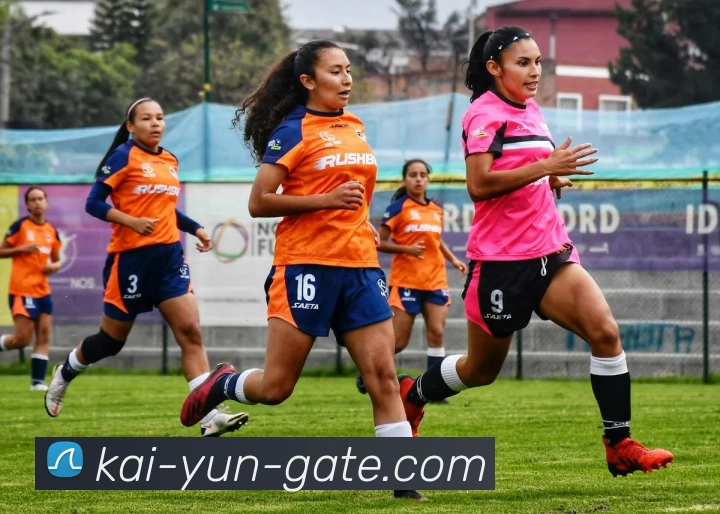 开云平台展示图